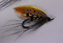 The Black Dog - Salmon Fly - Fly dreamers