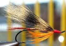 Fly for Atlantic salmon - Image shared by Tomas Kolesinskas – Fly dreamers
