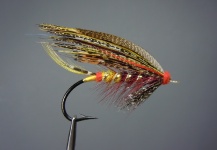 Fly for Atlantic salmon - Pic shared by Sven Axelsson – Fly dreamers 