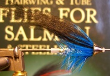 Fly for Atlantic salmon - Photo by Ingolfur David Sigurdsson – Fly dreamers 