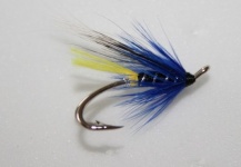 Ingolfur David Sigurdsson 's Fly for Atlantic salmon - Pic – Fly dreamers 