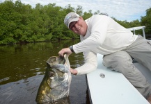 Fly-fishing Image of Tarpon shared by Bill Katzenberger – Fly dreamers