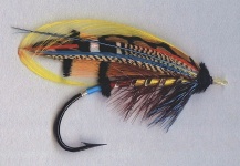 Mike Boyer 's Fly for Atlantic salmon - – Fly dreamers 