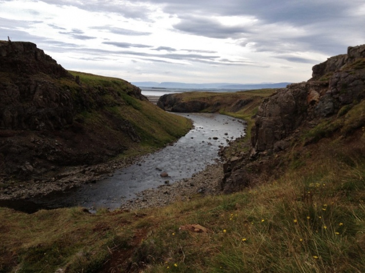 The lowest part of river Búðardalsá. If you are lucky you can see hundreds of Atlantic salmon come into the river, fresh from the Atlantic sea.