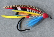 Mike Boyer 's Fly for Atlantic salmon - – Fly dreamers 