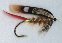 Salmon fly - strip wing