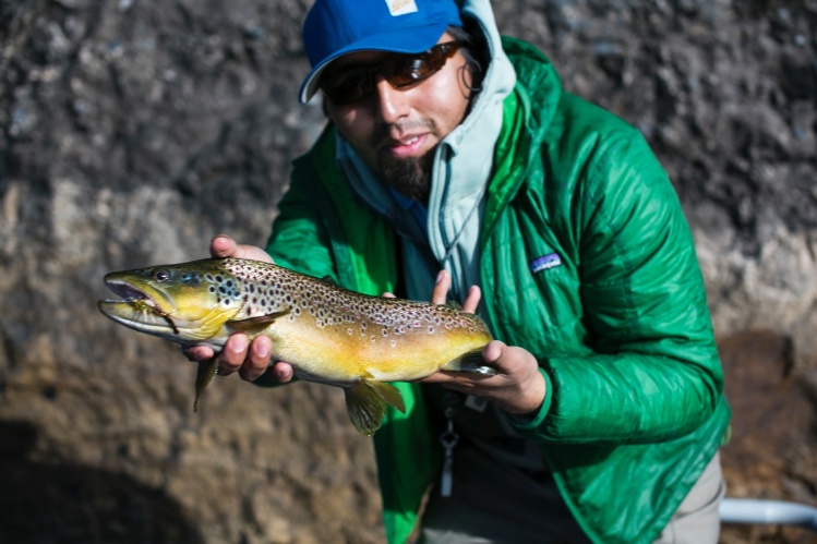 My second Patagonian trout