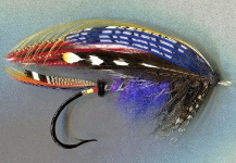 Nice Fly-tying Picture by Mike Boyer 