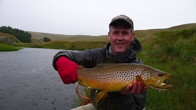Stunning brown on a mayfly dry. Aussies can sometimes get it right!