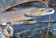 Jean Baptiste Vidal 's Fly-fishing Picture of a Atlantic salmon – Fly dreamers 
