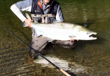 Scientific Anglers 's Fly-fishing Photo of a Atlantic salmon – Fly dreamers 