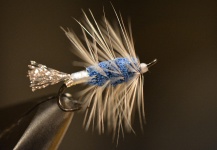 Terry Landry 's Fly for Atlantic salmon - Picture – Fly dreamers 