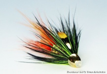 Fly for Atlantic salmon - Picture shared by Tomas Kolesinskas – Fly dreamers