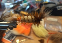 Fly for Atlantic salmon - Picture shared by Terry Landry – Fly dreamers