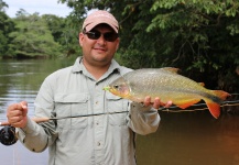 Mau Velho 's Fly-fishing Pic of a Pira Pita – Fly dreamers 