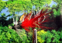 Lawrence Finney 's Fly for Atlantic salmon - Picture – Fly dreamers 
