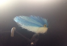 Charles Holloway 's Fly for Roosterfish - Image – Fly dreamers 
