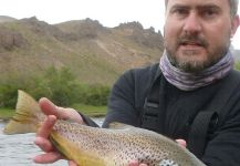 Fly-fishing Image of German brown shared by Andres Facundo Olivieri – Fly dreamers