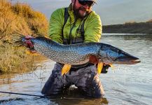 Pike Fly-fishing Situation – Uros Kristan - URKO Fishing Adventures shared this Photo in Fly dreamers 