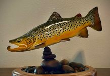 Gaylen Ware 's Fly-fishing Image of a Brownie | Fly dreamers 