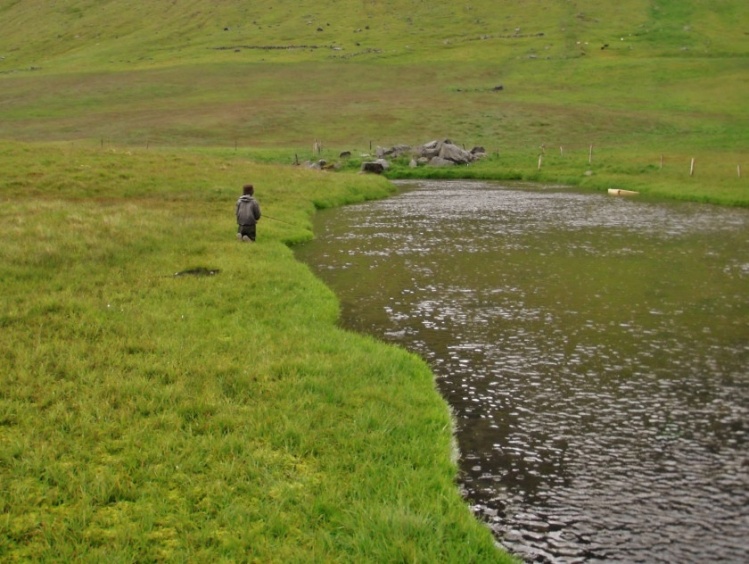 Casting a small tube into the deep pool in my private Atlantic salmon river. A few moments later a nice grilse was on!