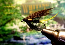 Fly for Atlantic salmon - Image shared by Lawrence Finney – Fly dreamers