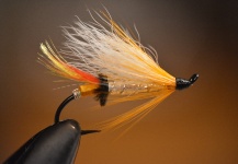 Terry Landry 's Fly for Atlantic salmon - Picture – Fly dreamers 