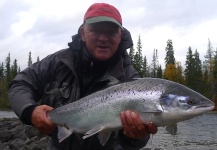 Fly-fishing Photo of Atlantic salmon shared by Kai Welle – Fly dreamers 