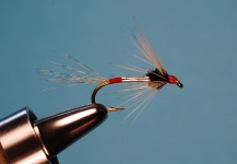 Jimbo Busse 's Fly-tying for brook charr - Pic – Fly dreamers 