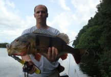 Martin Tagliabue 's Fly-fishing Picture of a Peacock Bass – Fly dreamers 