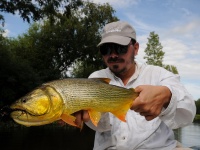 Foto de pesca con mosca