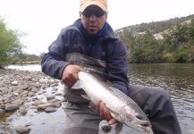 Fly-fishing Photo of Rainbow trout shared by Mariano Ferrara – Fly dreamers 