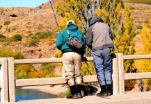 Marrones del Limay Superior