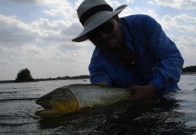 Dorados con moscas en el río Dulce