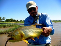 Foto de pesca con mosca