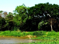 Foto de pesca con mosca