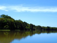 Foto de pesca con mosca