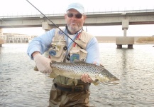  Foto de Pesca con Mosca de Trucha marrón compartida por Domi Gug – Fly dreamers