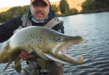  Fotografía de Pesca con Mosca de Trucha marrón por Domi Gug – Fly dreamers 