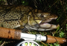  Una Gran fotografía de Pesca con Mosca por Remigijus Cephalus