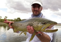 Fly fishing for brownies by John Arnold - Fly dreamers