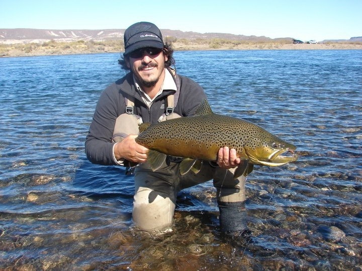 Esta linda marrón la pasque con un  B.Head Wolly Bugger con cristal color cobre y cola oliva. Cayo la mosca derivo medio metro y la tomo!!!!!
Es en fortin nogueira.... un lugar que debe tener como 5 mts de 
profundidad o mas !!!! lo increíble fue que 