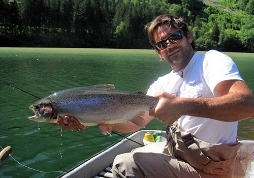 Rainbow trout fly fishing in Austria