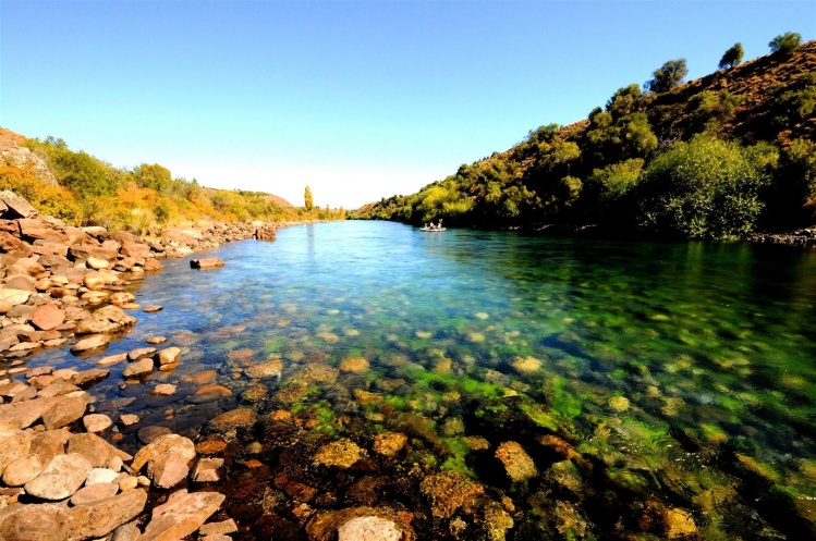 Limay river. Los Alamos pool
