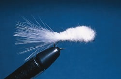 White Shenks Streamer