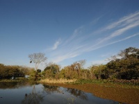 Foto de pesca con mosca