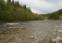 Norway Rivers Fly-Fishing - Fly dreamers