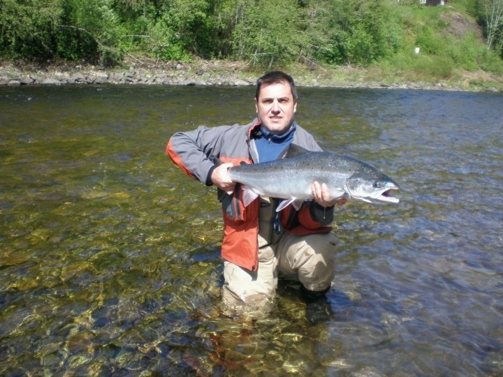 Orkla river salmon, near Storås...  June 2010