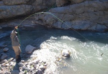  Una Gran foto de Situación de Pesca con Mosca por Cristián   Rodríguez O.