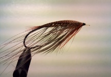 Lady Caroline - Atlantic Salmon Fly - Fly dreamers